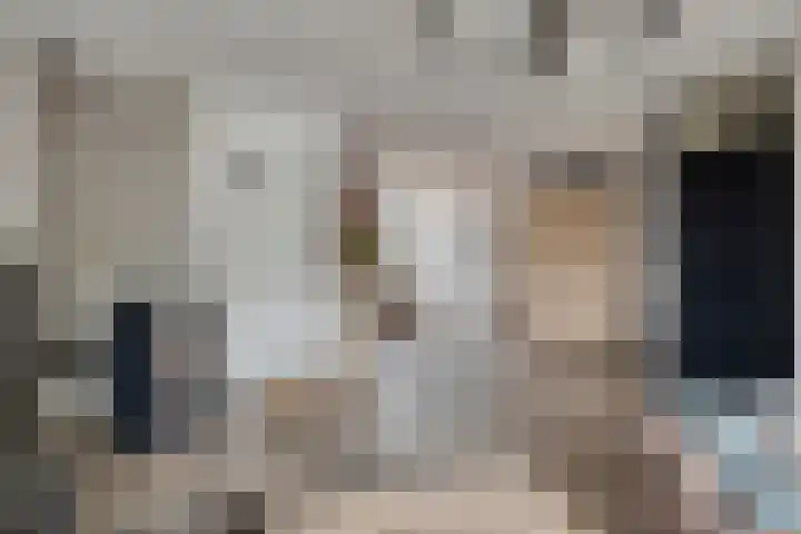 De Heggemus 3 Budel thumbnail 8