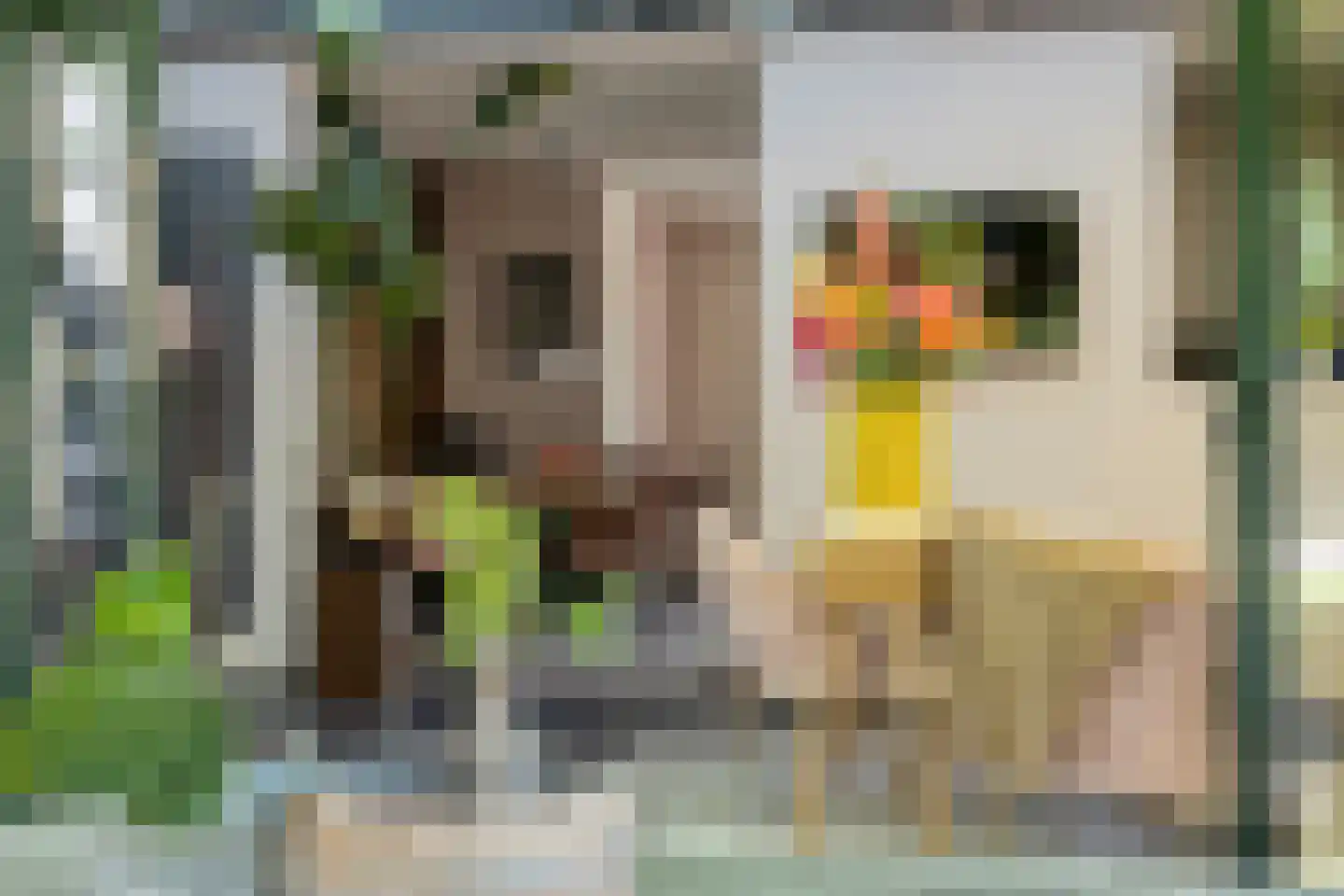De Heggemus 5 Budel thumbnail 10