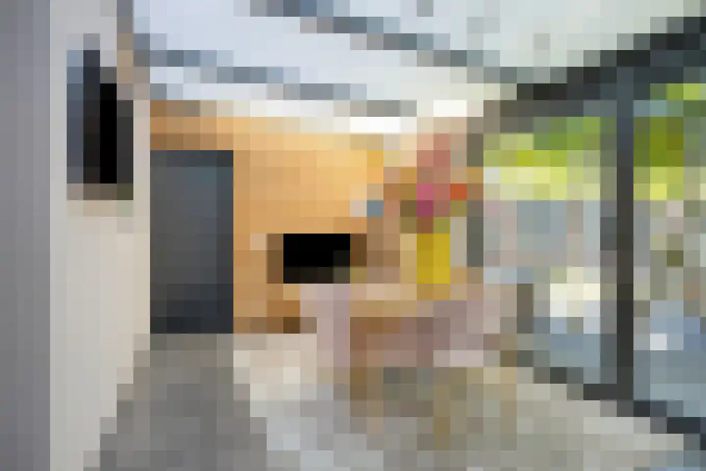 De Heggemus 5 Budel thumbnail 12