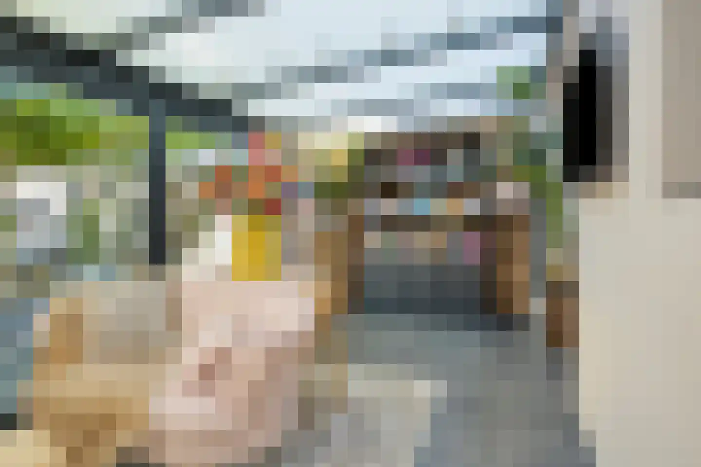De Heggemus 5 Budel thumbnail 13