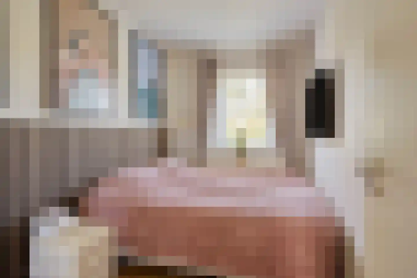 De Heggemus 5 Budel thumbnail 17