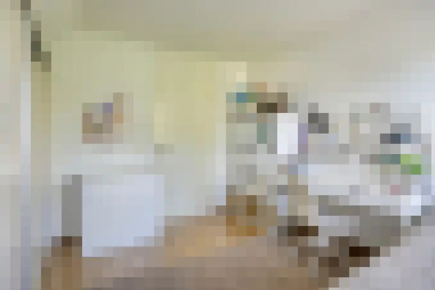 De Heggemus 5 Budel thumbnail 20