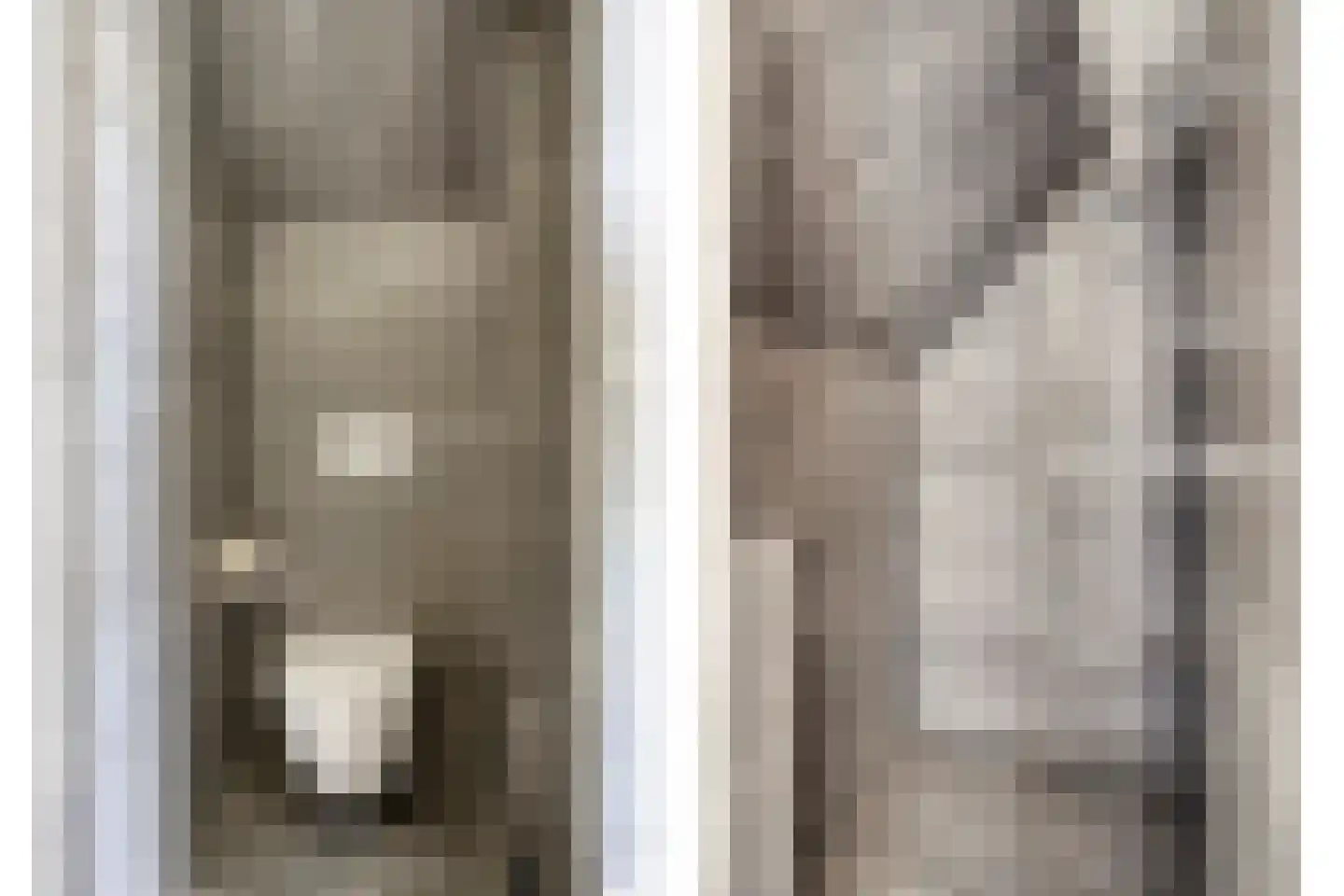 De Heggemus 5 Budel thumbnail 24