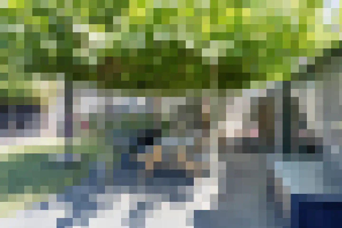 De Heggemus 5 Budel thumbnail 28