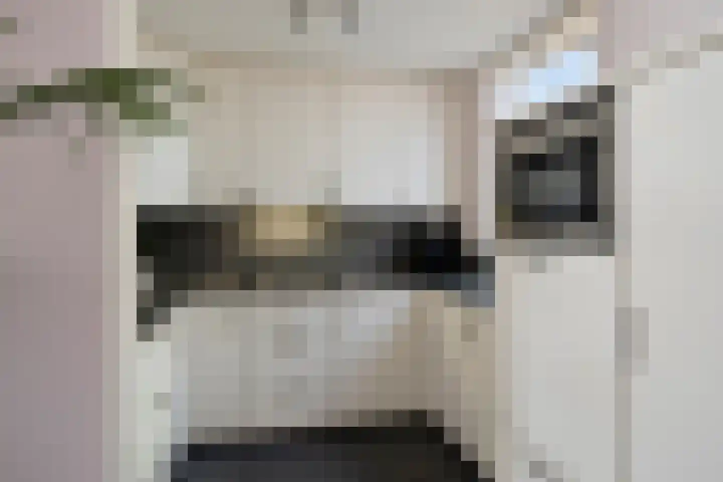 De Heggemus 5 Budel thumbnail 7