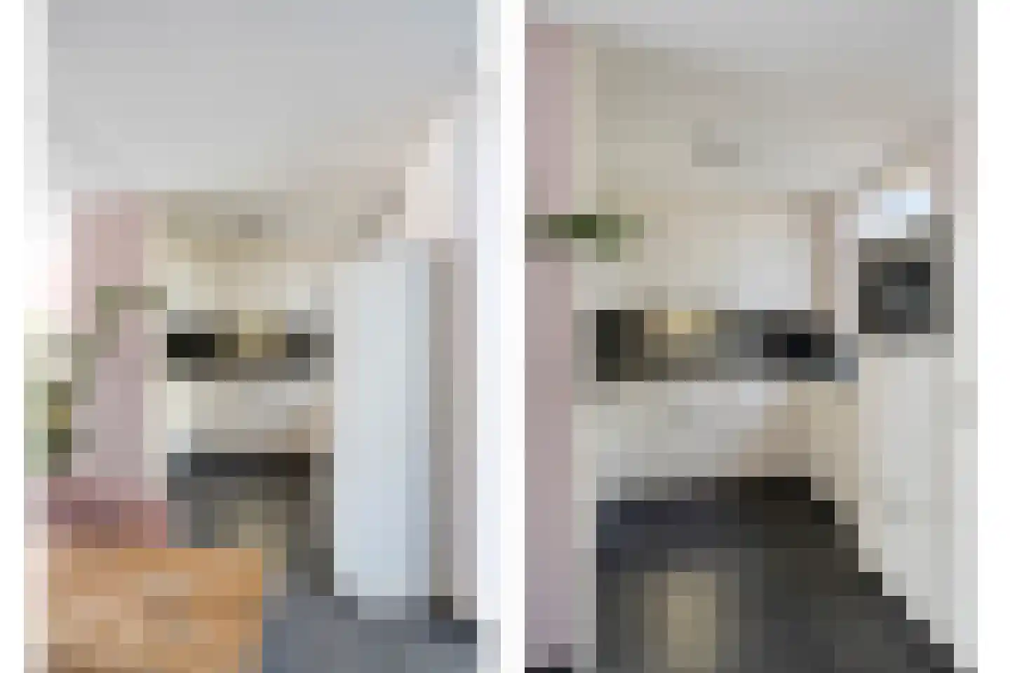 De Heggemus 5 Budel thumbnail 8