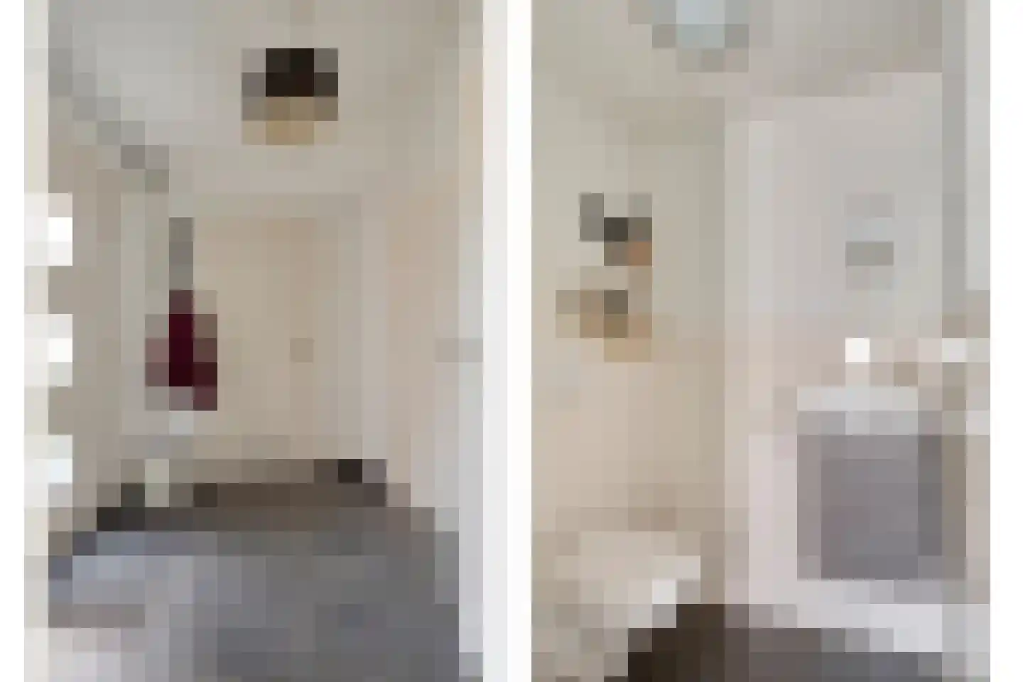 De Heggewikke 13 Budel thumbnail 11