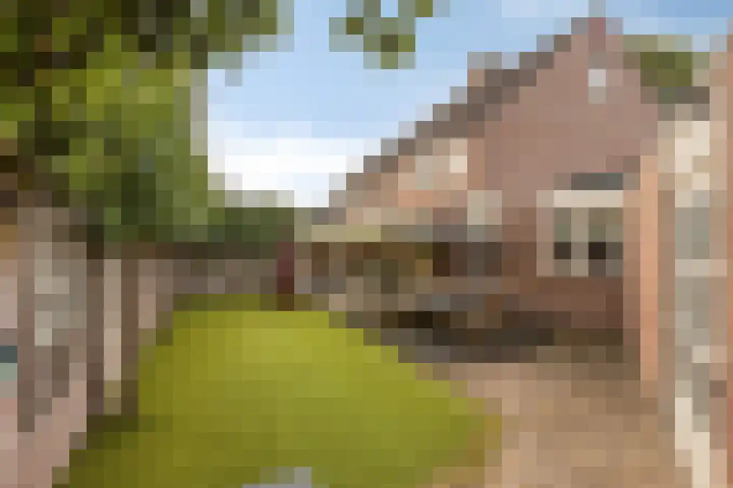 De Heggewikke 13 Budel thumbnail 28