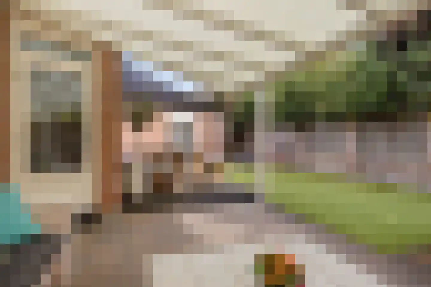 De Heggewikke 13 Budel thumbnail 30