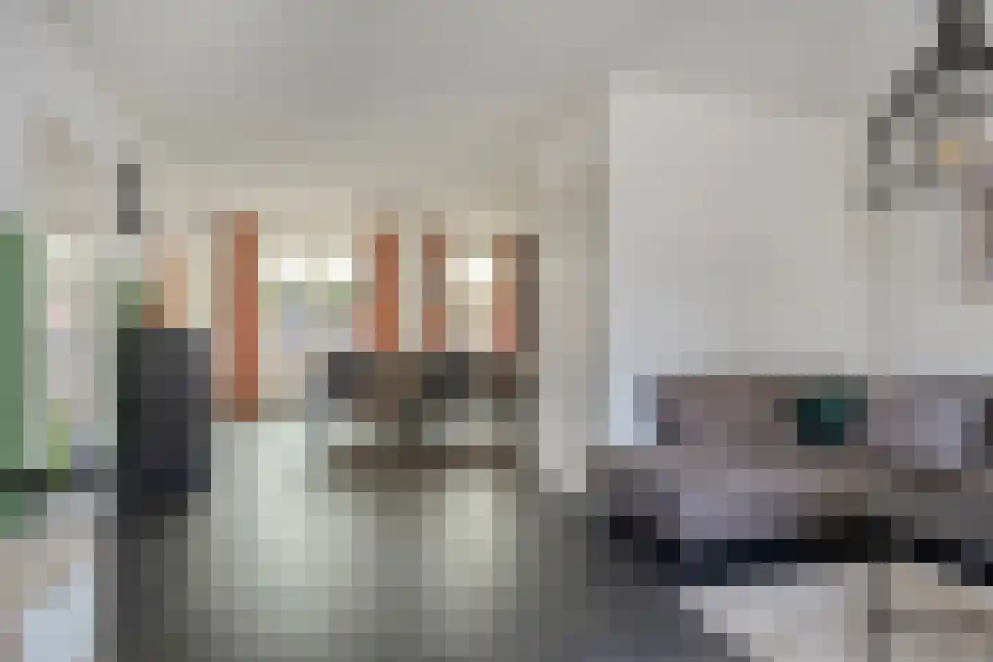 De Heggewikke 13 Budel thumbnail 6