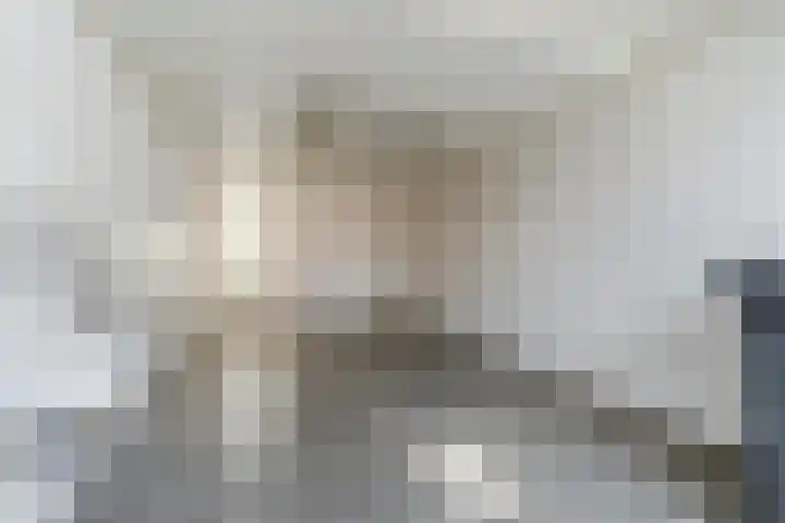 De Heggewikke 22 Budel thumbnail 10
