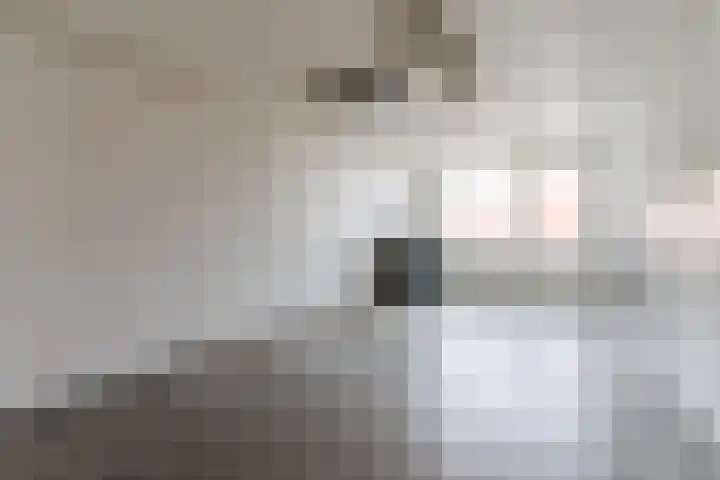 De Heggewikke 22 Budel thumbnail 11