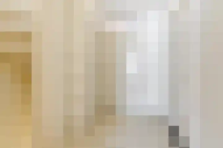 De Heggewikke 22 Budel thumbnail 12