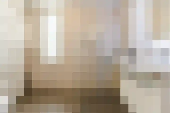 De Heggewikke 22 Budel thumbnail 13