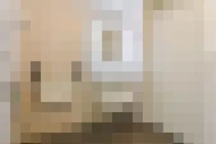 De Heggewikke 22 Budel thumbnail 14