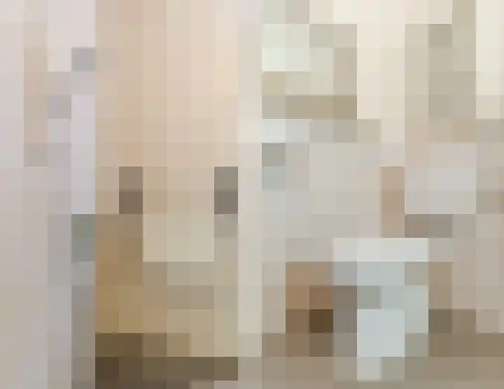 De Heggewikke 22 Budel thumbnail 15