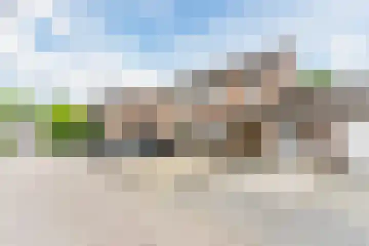 De Heggewikke 22 Budel foto 2