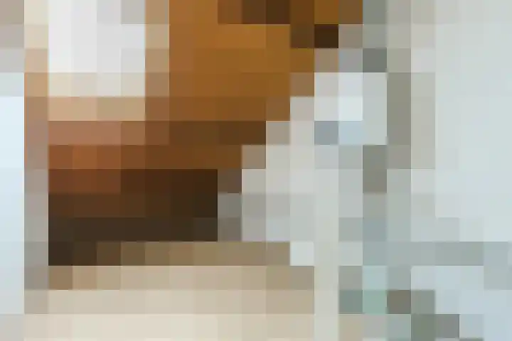 De Heggewikke 22 Budel thumbnail 23