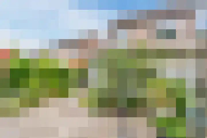 De Heggewikke 22 Budel thumbnail 26