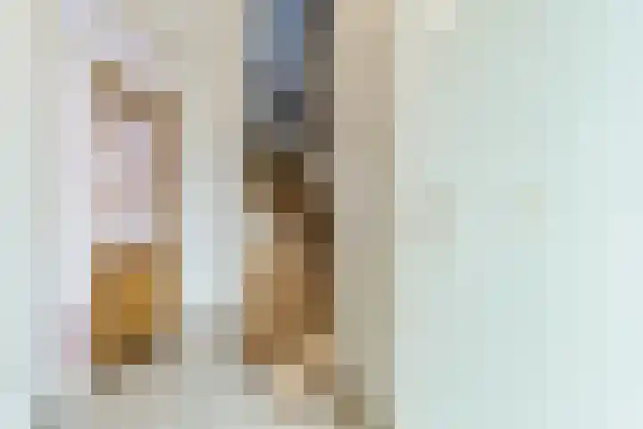 De Heggewikke 22 Budel thumbnail 4