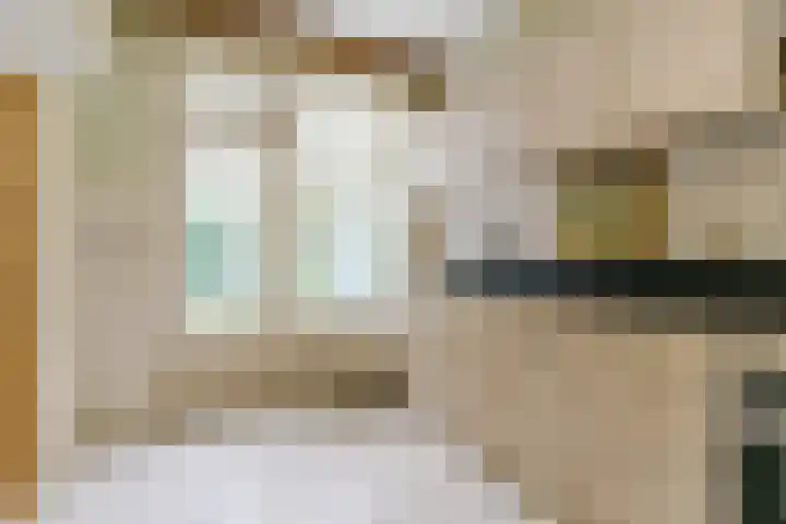 De Heggewikke 22 Budel thumbnail 7