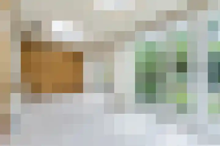 De Heggewikke 22 Budel thumbnail 8