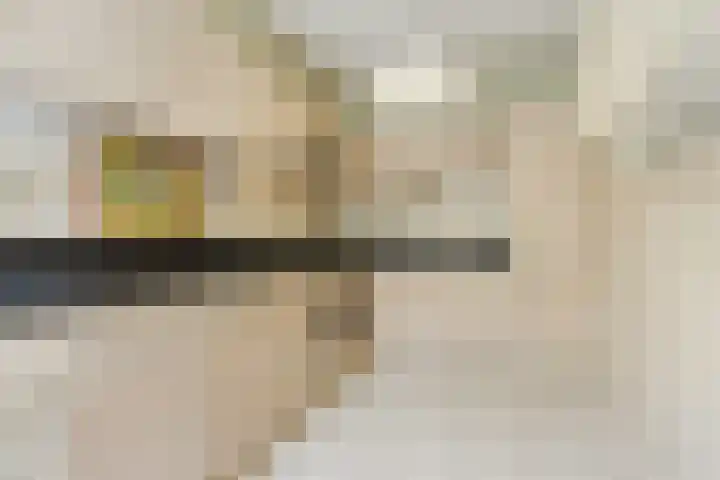 De Heggewikke 22 Budel thumbnail 9