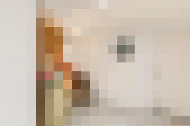 De Heggewikke 3 Budel thumbnail 13