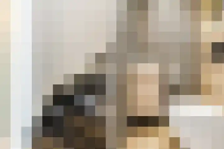 De Heggewikke 3 Budel thumbnail 14