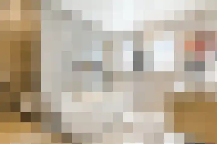 De Heggewikke 3 Budel thumbnail 20