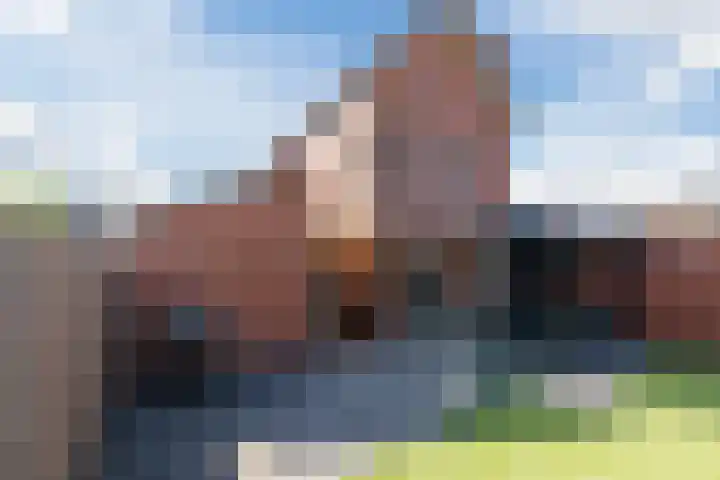 De Heggewikke 3 Budel thumbnail 30
