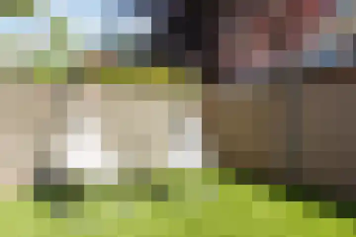 De Heggewikke 3 Budel thumbnail 32