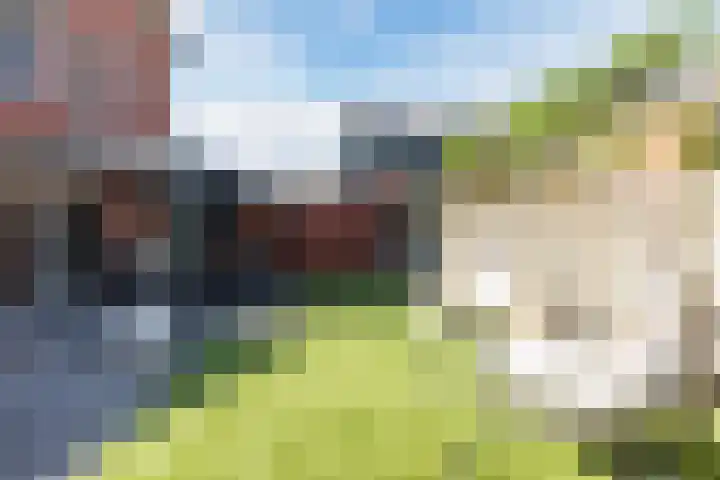 De Heggewikke 3 Budel thumbnail 33