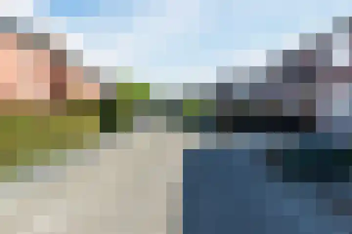 De Heggewikke 3 Budel thumbnail 35