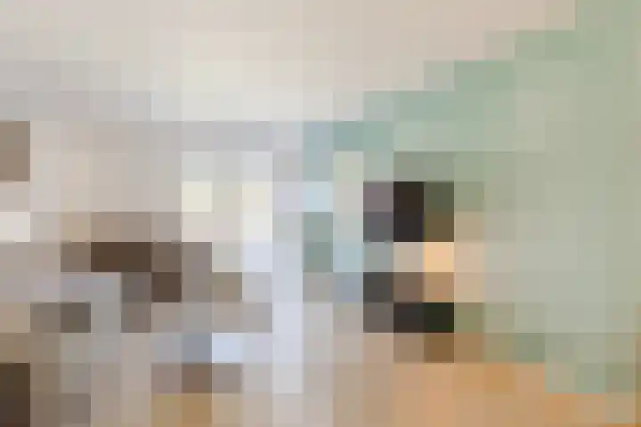 De Heggewikke 3 Budel thumbnail 4