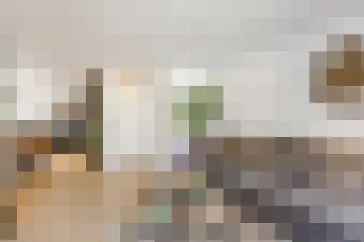 De Heggewikke 3 Budel thumbnail 5