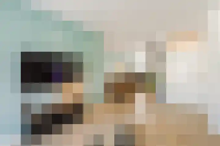 De Heggewikke 3 Budel thumbnail 6