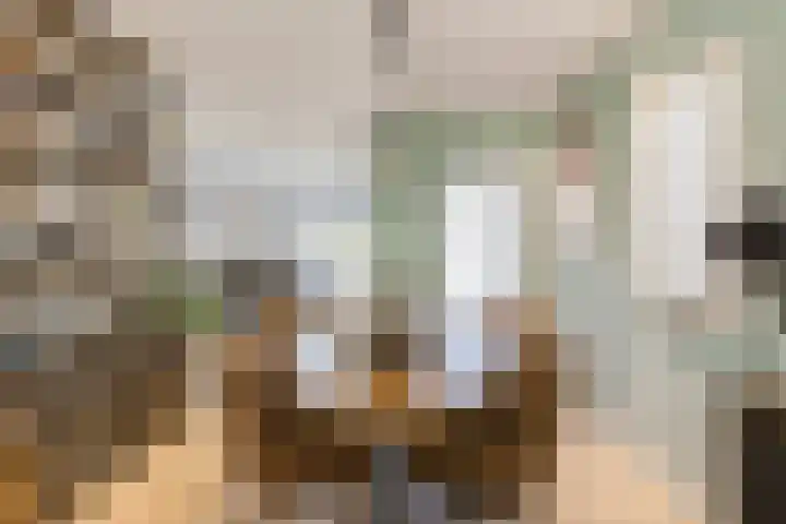 De Heggewikke 3 Budel thumbnail 9