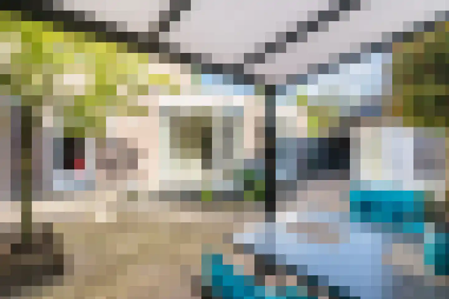 de Hegmulder 16 Valkenswaard thumbnail 38