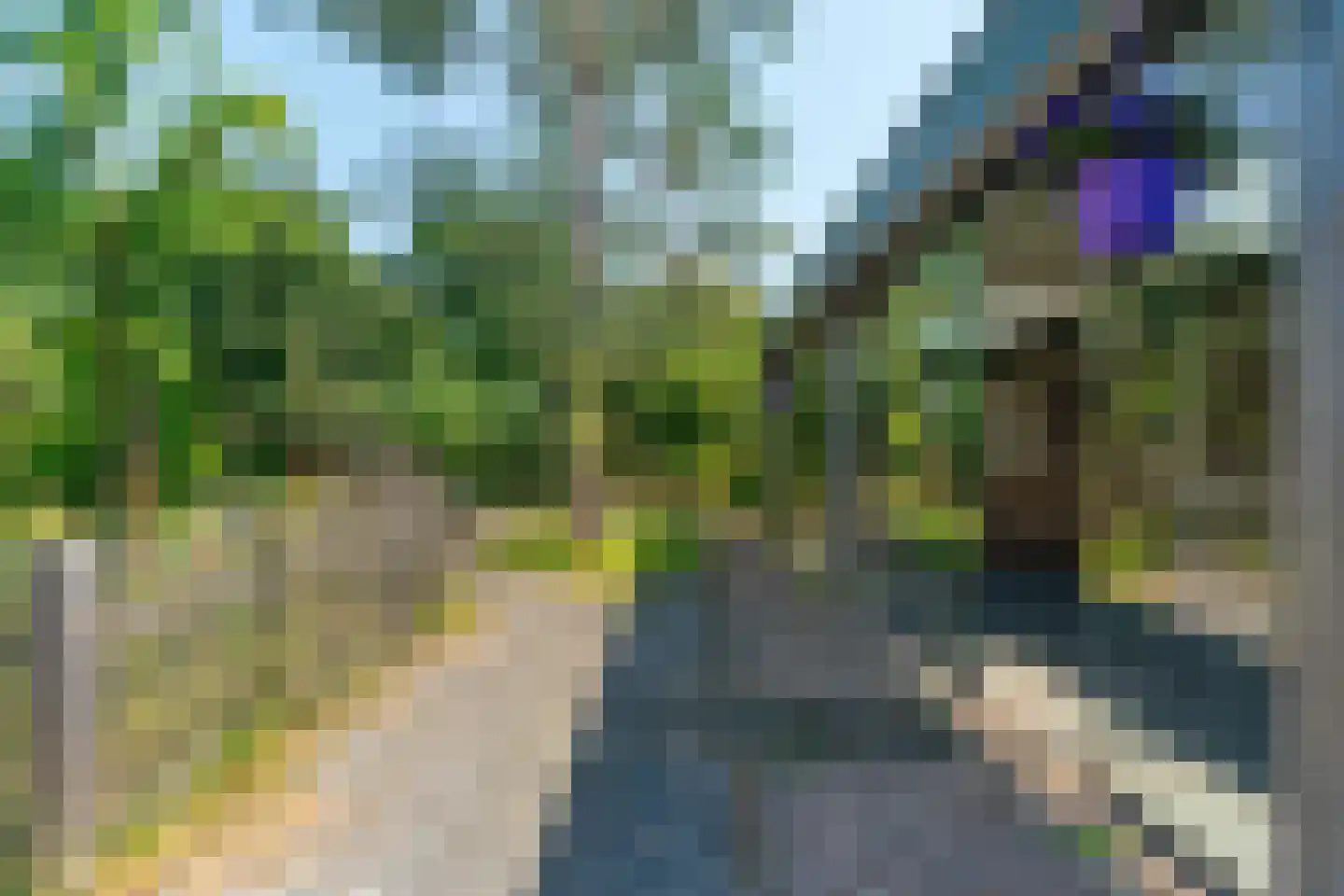 de Hei 27 Mariahout thumbnail 54