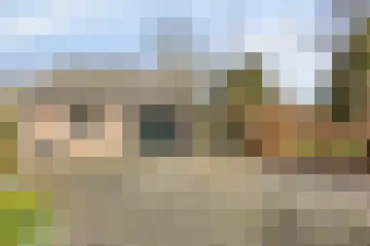 de Hei 29 Mariahout thumbnail 35