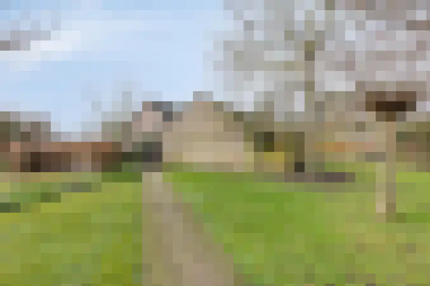 de Hei 29 Mariahout thumbnail 36