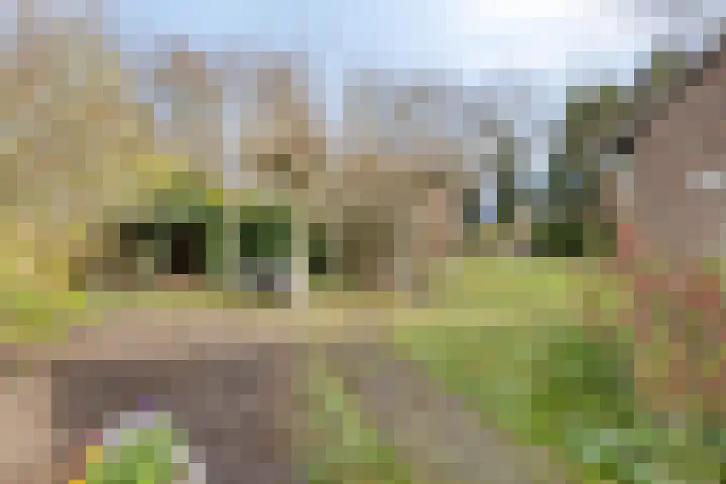 de Hei 29 Mariahout thumbnail 37