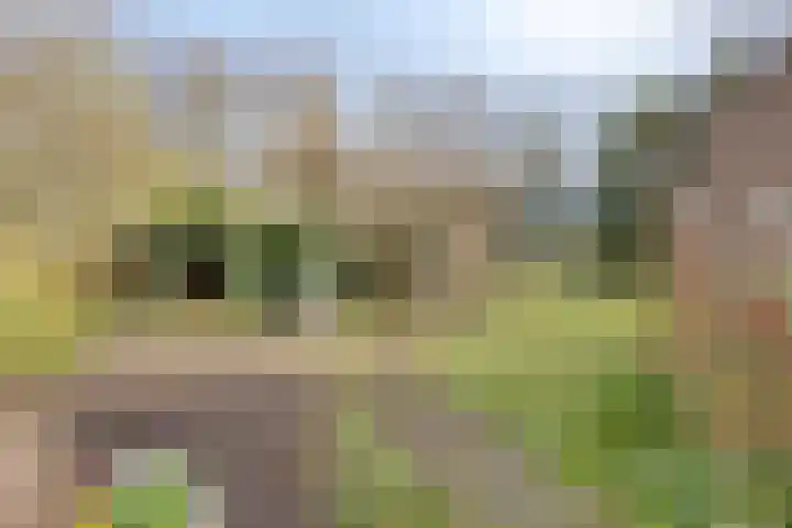 de Hei 29 Mariahout thumbnail 37