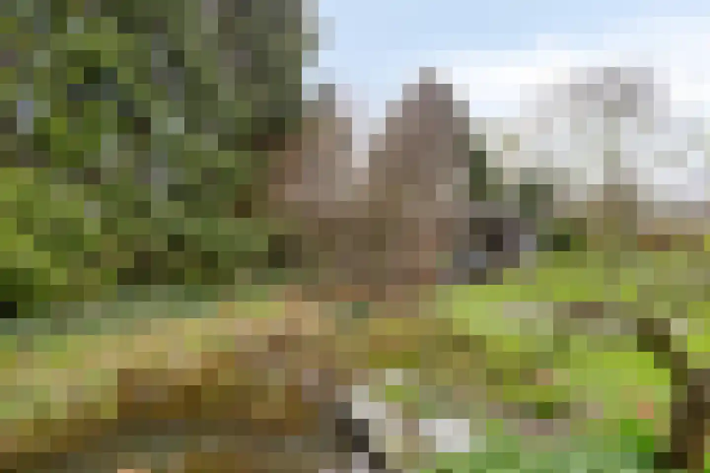de Hei 29 Mariahout thumbnail 39