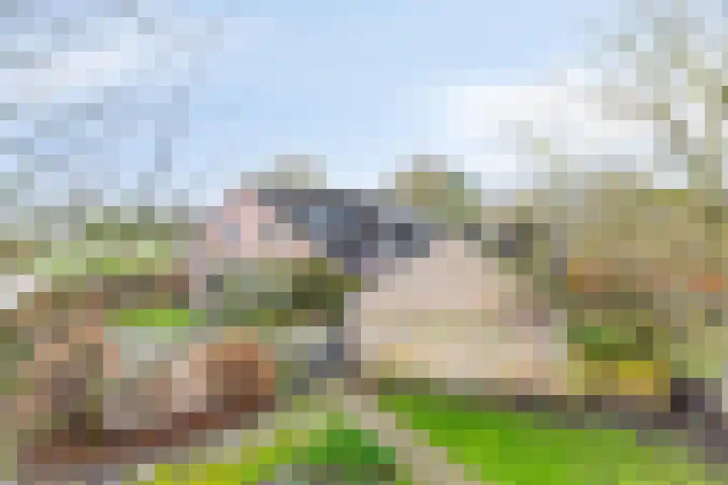 de Hei 29 Mariahout thumbnail 42