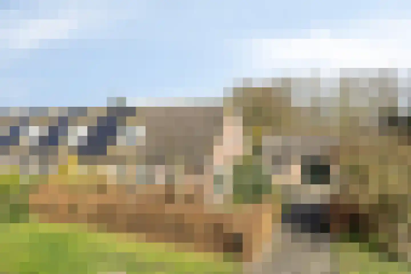 de Hei 29 Mariahout thumbnail 50