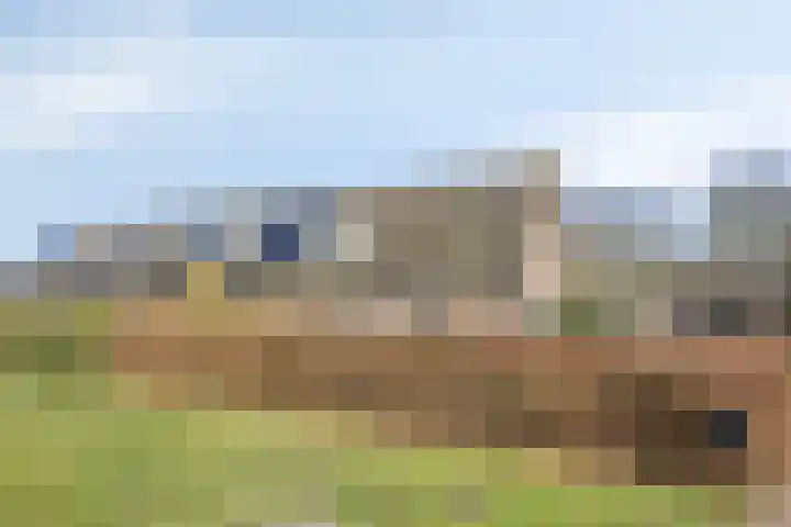 de Hei 29 Mariahout thumbnail 6