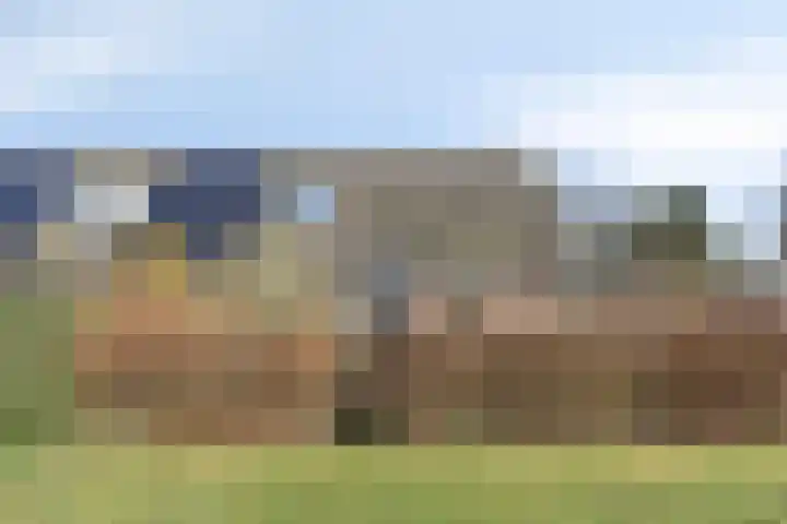 de Hei 29 Mariahout thumbnail 7