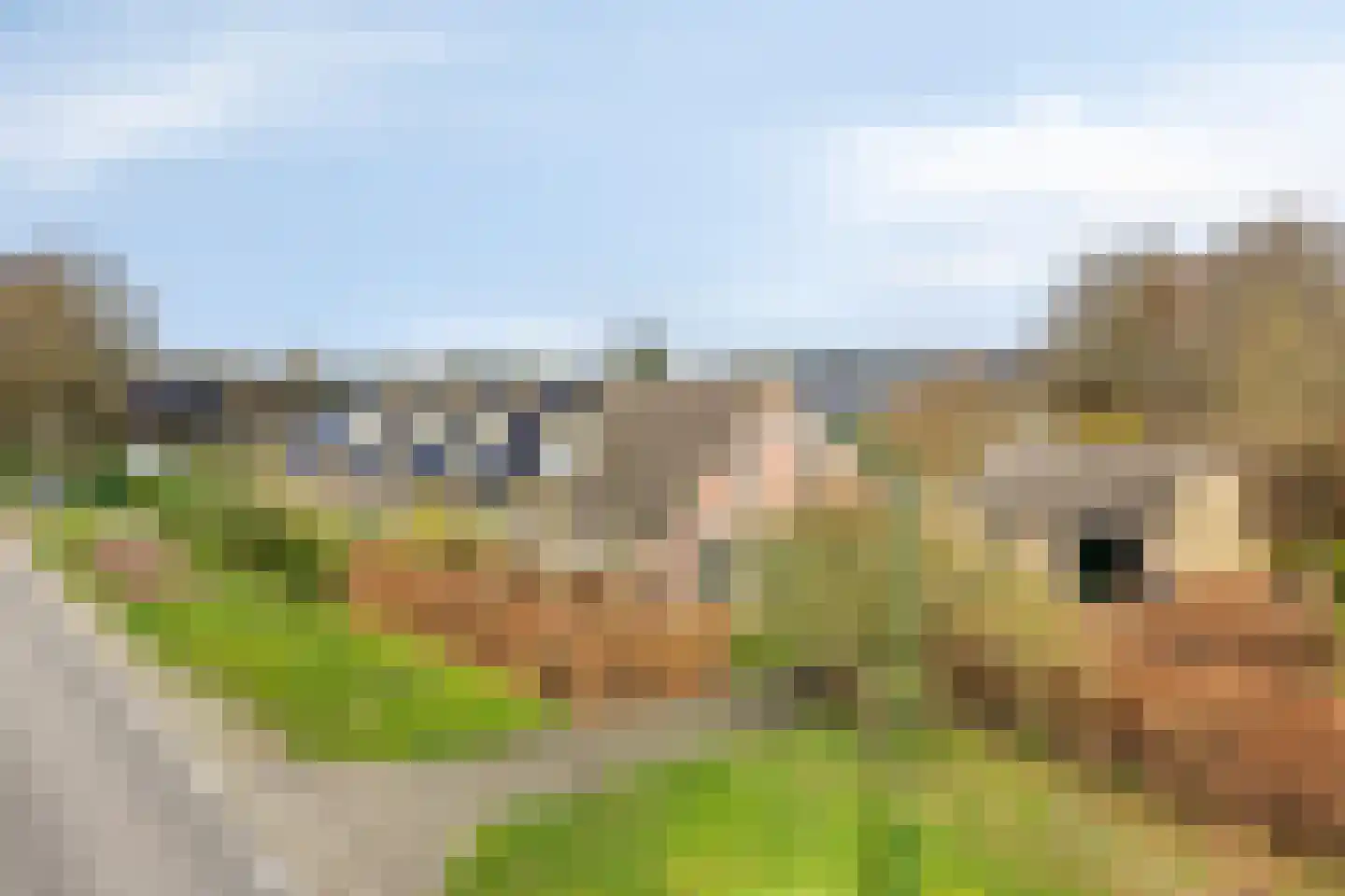 de Hei 29 Mariahout thumbnail 8